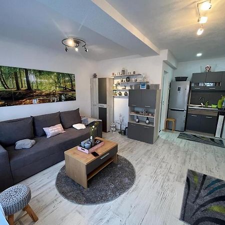 Apartament Acasa Sf.Gheorghe Sfântu-Gheorghe Exterior foto